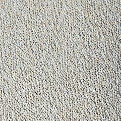 Calworth Outdoor Armless Chair with Cushion (Set of 2)