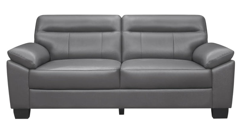 Denizen Sofa in Dark Gray 9537DGY-3